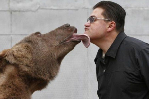 Американці улюблені стали російським ведмедя степаном Американці улюблені стали російським ведмедя степаном